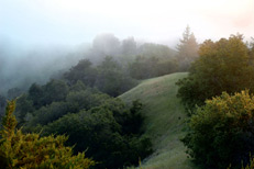 Big Sur landscape